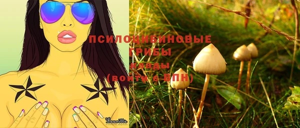 прущие крисы Горно-Алтайск